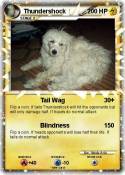 Thundershock