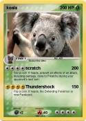 koala