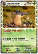Soldat Amster
