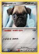 pugpound