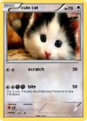 cute cat