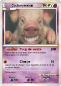 Cochon ession