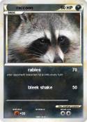 raccoon