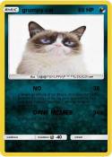 grumpy cat