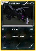 Enderdragon
