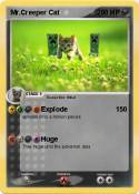 Mr.Creeper Cat