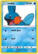 mudkip