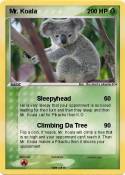 Mr. Koala