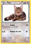 Gato