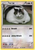 Fat Cat