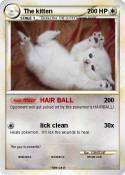 The kitten