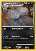 The donkey duo
