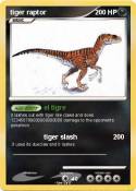 tiger raptor