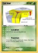 Cell Wall
