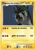 Kagetora the