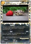 turtle^_^