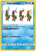 Ninja squirtles