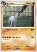 din hund