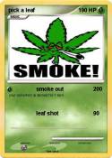 pick a leaf