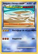Sangoku cheveµx