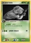 j'ai peur koala