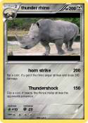 thunder rhino