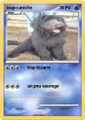 loup-caniche