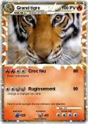 Grand tigre