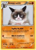 Grumpy cat EX