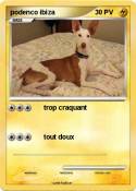 podenco ibiza