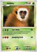 monkey