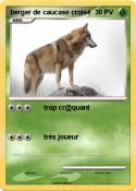 berger de cauca