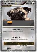 Hungry pug