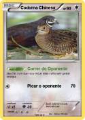 Codorna Chinesa