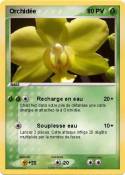 Orchidée