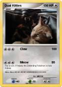 Dual Kitties