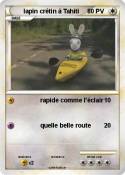 lapin crétin à