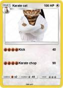 Karate cat