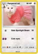 Pampered cat