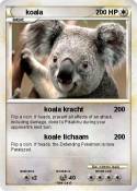 koala