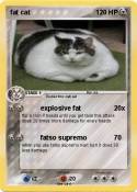 fat cat