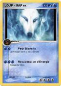 LOUP - MAP ex