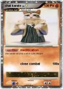 chat karate