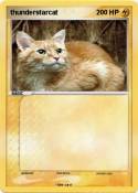 thunderstarcat