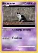 chat est doux