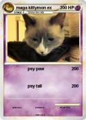 maga kittymon