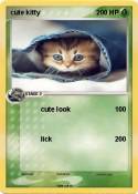 cute kitty