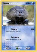 Beaver