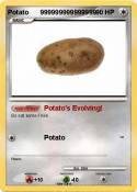 Potato 99999999