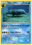 Hippopotame